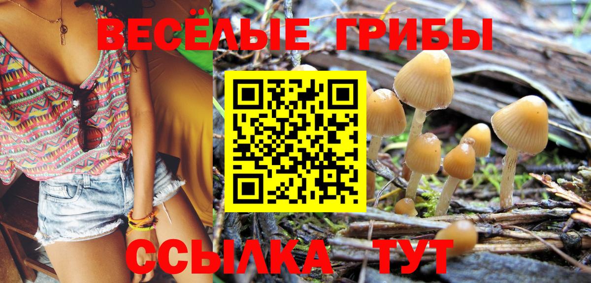 Галлюциногенные грибы Magic Shrooms Сердобск